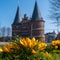 Some yellow crocuses bloom in spring and in the background is LÃ¼beck Holsten Gate