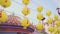 Some yellow lanterns labeled auspicious words hung up at a temple in Taiwan.