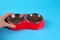 Somebody`s hand holding Dry cat food in bowls isolated on blue