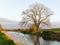 Somerset canal Bridgwater and Taunton West England UK