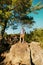 Sometimes the best view comes after the hardest climb. three friends out hiking in the mountains.