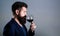 Sommelier, degustator with glass of red wine, winery, male winemaker. Beard man, bearded, sommelier tasting red wine