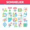 Sommelier Wine Tasting Collection Icons Set Vector