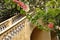 Somptuous Bougainvillea branch in front of yellow stairs