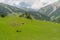 Sonamarg mountain landscape in summer