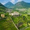 Sondrio - Valtellina IT - Aerial overview of the vineyards