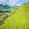 Sondrio - Valtellina IT - Sassella vineyards view