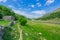 Sone walls and barns, Swaledale scenery, Yorkshire Dales National Park