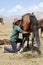 Song Kul lake, Kyrgystan, August 15 2018: Young Kyrgyz milks a horse mare in the steppe at Song Kul lake in Kyrgyzstan