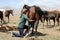 Song Kul lake, Kyrgystan, August 15 2018: Young Kyrgyz milks a horse mare in the steppe at Song Kul lake in Kyrgyzstan