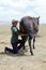 Song Kul lake, Kyrgystan, August 15 2018: Young Kyrgyz milks a horse mare in the steppe at Song Kul lake in Kyrgyzstan