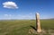 Songino Deer Standing Stone Mongolia