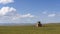 Songino Mongolia Buddhist Temple