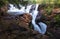 Soninho river falls in Jalapao, Brazil.