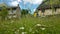 Sonogno, typical Ticino Village in Verzasca Valley, Switzerland with flower meadow.