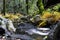 Sonoma Creek flowing through Enchanted Forrest  at Sugarloaf Ridge State Park, California