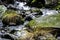 Sonoma Creek flowing throug Enchanted forrest  at Sugarloaf Ridge State Park, California