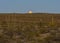 Sonora desert with Saguaro cactus under a full moon