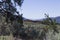 Sonoran Desert Landscape 26