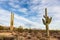 Sonoran Desert landscape with Saguaro Cactus and mountains