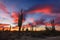 Sonoran Desert landscape at sunset