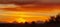 Sonoran Desert Majestic SUNSET Vibrant  Fire  Red Orange Sky Scene Nature Photography