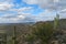 Sonoran Desert at Saguaro National Park