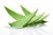 Soothing aloe vera leaves. Generate Ai