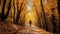 Soothing Autumn Forest: A Photo-realistic Landscape Of Mark Walking