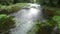 Soothing clear river water in green forest