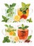 Soothing Ensemble of Herbal Teas Featuring Variety of Flavors, Flat Vector Illustration