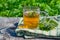 Soothing, healing tea made from the medicinal herb of motherwort in a glass glass on a wooden table. Close-up on a background of