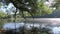 Soothing landscape with trees hanging over the lake. Ripples in the water