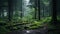 Soothing Landscapes: Captivating Forests In The Summer Rain