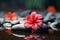 Soothing spa arrangement red frangipani flower with serene spa stones