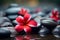 Soothing spa arrangement red frangipani flower with serene spa stones