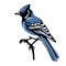 Sophisticated Blue Jay Vector With Monochromatic Graphic Design