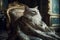 Sophisticated Cat, Velvet Cape, Luxurious Chaise Longue, Baroque Palace, generative AI