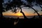 Sophisticated elegant dark sunset in Maui Hawaii with palm tree