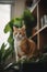 Sophisticated Feline: A Cat in a Modern Apartment Surrounded by Books