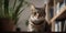 Sophisticated Feline: A Cat in a Modern Apartment Surrounded by Books