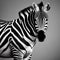 A sophisticated zebra in formal wear, posing for a portrait in a black-and-white theme3