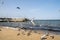 The Sopot molo pier longest in Europe. Baltic Sea and the sun. Seagulls flying on the beach of Baltic Sea waves