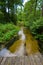 Sopot river in Roztocze region of Poland