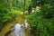 Sopot river in Roztocze region of Poland