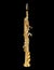 Soprano Sax