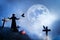 The sorcerer and birds in the cemetery at the moon. Mystical image. Halloween.