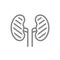 Sore human kidneys line icon. Renal cysts, kidney stones, ureteral stone symbol