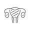 Sore woman uterus line icon. Uterine cancer, endometritis, infertility, infected organ symbol