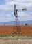 Sorghum field near Quirindi